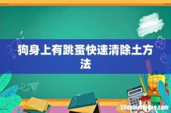 狗身上有跳蚤快速清除土方法