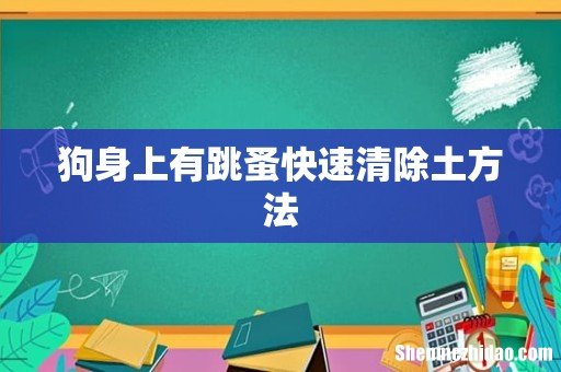 狗身上有跳蚤快速清除土方法