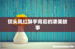 钗头凤红酥手背后的凄美故事