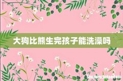 大狗比熊生完孩子能洗澡吗