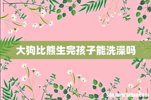 大狗比熊生完孩子能洗澡吗