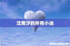沈南汐的所有小说