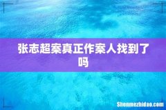 张志超案真正作案人找到了吗