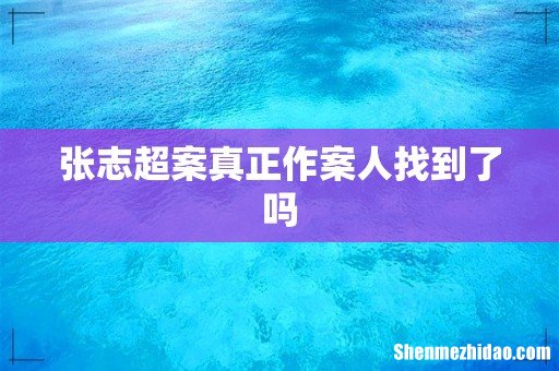 张志超案真正作案人找到了吗