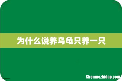 为什么说养乌龟只养一只