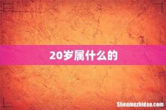 20岁属什么的