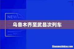 乌鲁木齐至武昌次列车