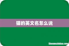 猫的英文名怎么说