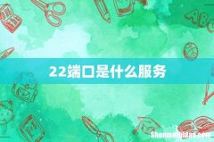 22端口是什么服务