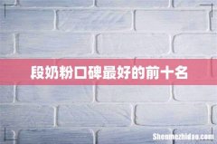 段奶粉口碑最好的前十名