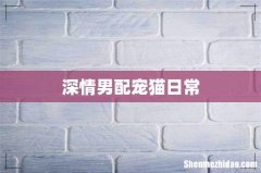 深情男配宠猫日常