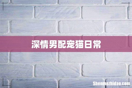 深情男配宠猫日常