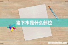 猪下水是什么部位