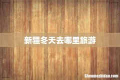 新疆冬天去哪里旅游