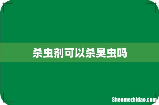 杀虫剂可以杀臭虫吗