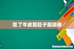 吃了牛皮菜肚子超级痛