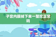 子宫内膜掉下来一整坨正常吗