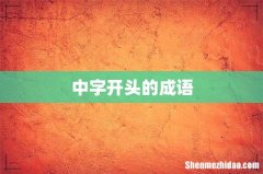 中字开头的成语