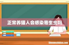 正常养猫人会感染寄生虫吗