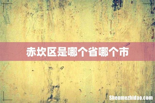 赤坎区是哪个省哪个市