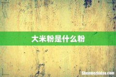 大米粉是什么粉