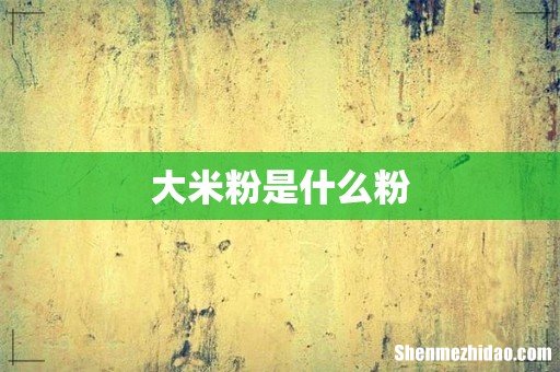 大米粉是什么粉