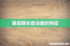 基层群众自治组织特征