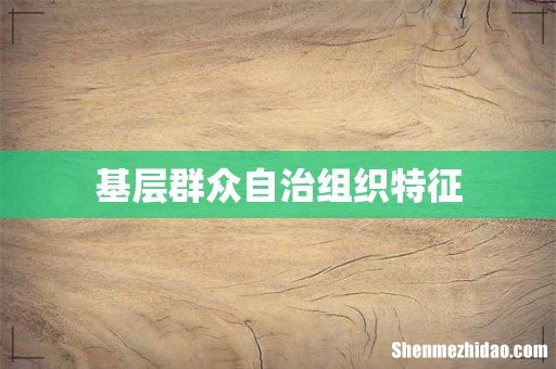 基层群众自治组织特征
