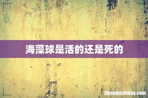 海藻球是活的还是死的