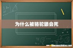 为什么被骆驼舔会死