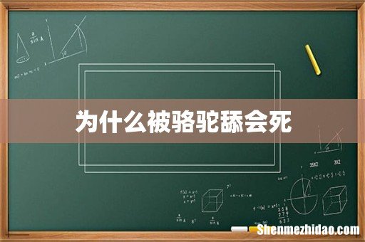 为什么被骆驼舔会死