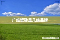 广维瓷砖是几线品牌