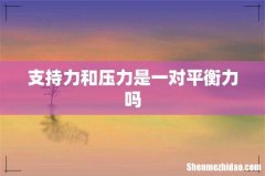 支持力和压力是一对平衡力吗