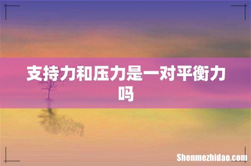 支持力和压力是一对平衡力吗