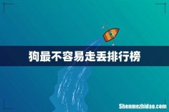 狗最不容易走丢排行榜