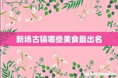 新场古镇哪些美食最出名