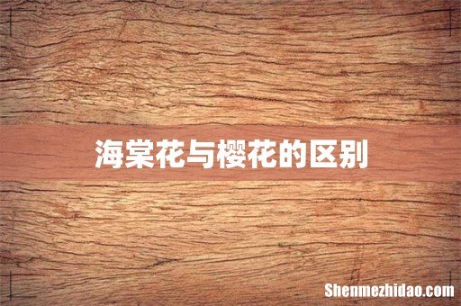 海棠花与樱花的区别