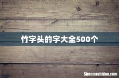 竹字头的字大全500个