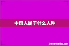 中国人属于什么人种