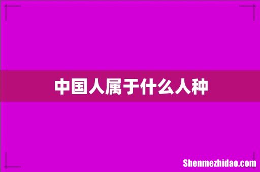 中国人属于什么人种
