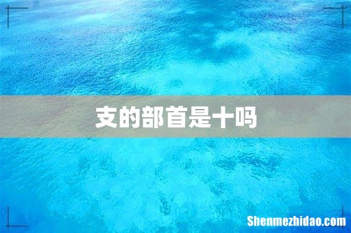 支的部首是十吗