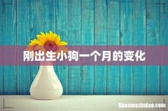 刚出生小狗一个月的变化