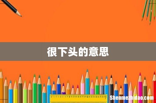 很下头的意思