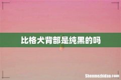 比格犬背部是纯黑的吗
