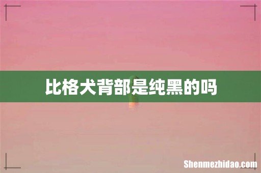 比格犬背部是纯黑的吗