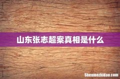 山东张志超案真相是什么
