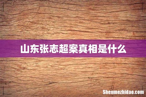山东张志超案真相是什么