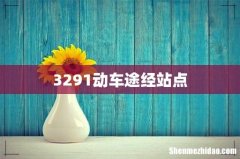 3291动车途经站点