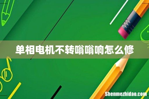 单相电机不转嗡嗡响怎么修