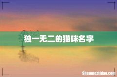 独一无二的猫咪名字